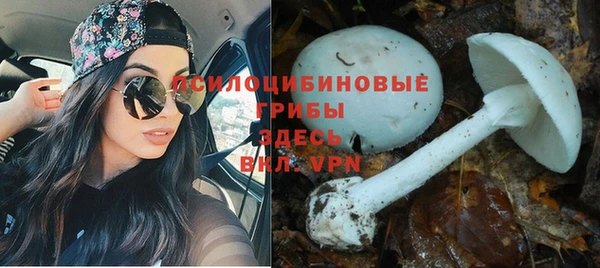 таблы Алзамай